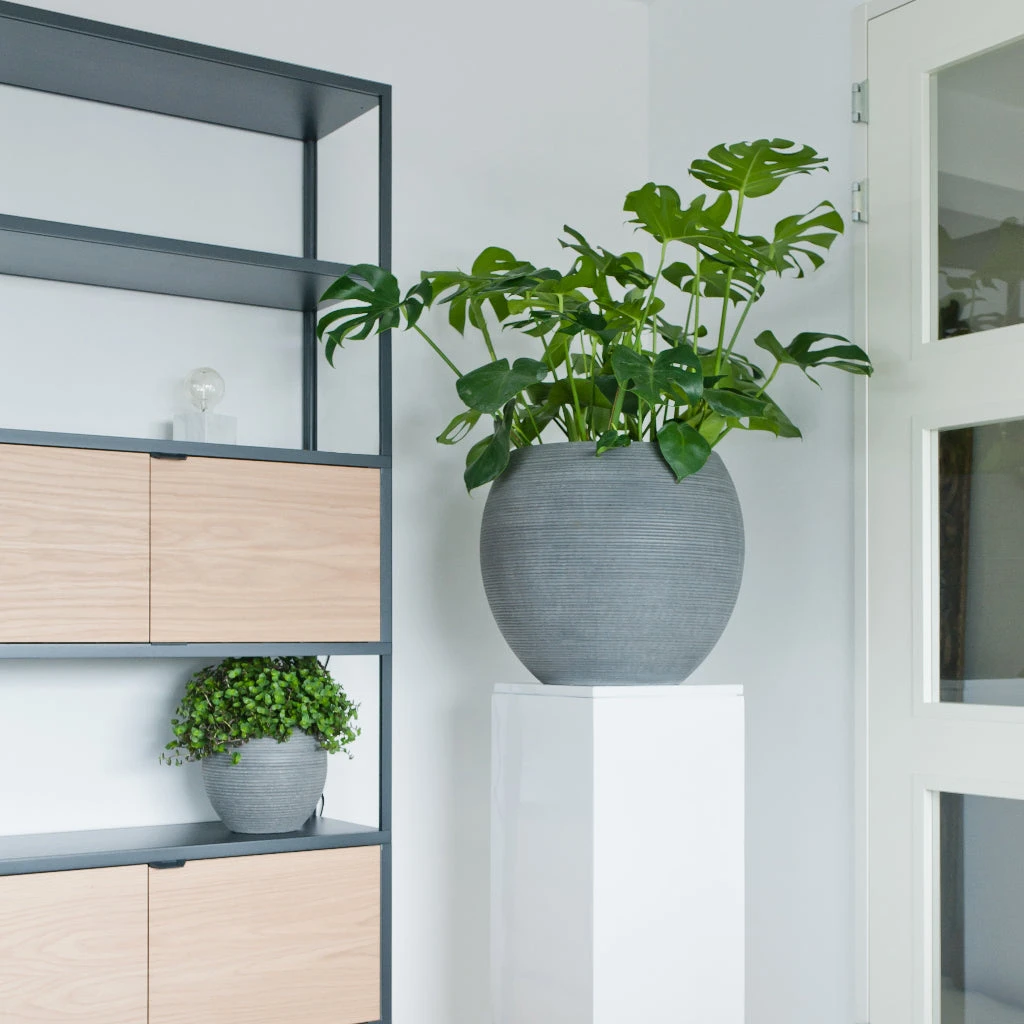 Abby Ridged Plant Pot - Dark Grey 10 Abby Ridged Plant Pot - Dark Grey - Image 8