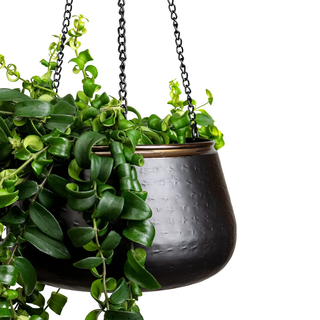 Sahara Hanging Plant Pot - Slate 10 Sahara Hanging Plant Pot - Slate - Image 8