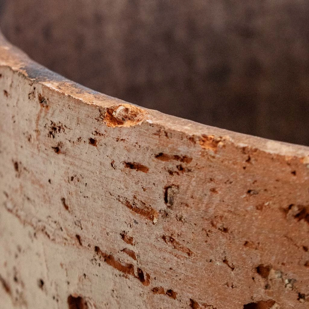 Albero Plant Pot - Cement 5 Albero Plant Pot - Cement - Image 3