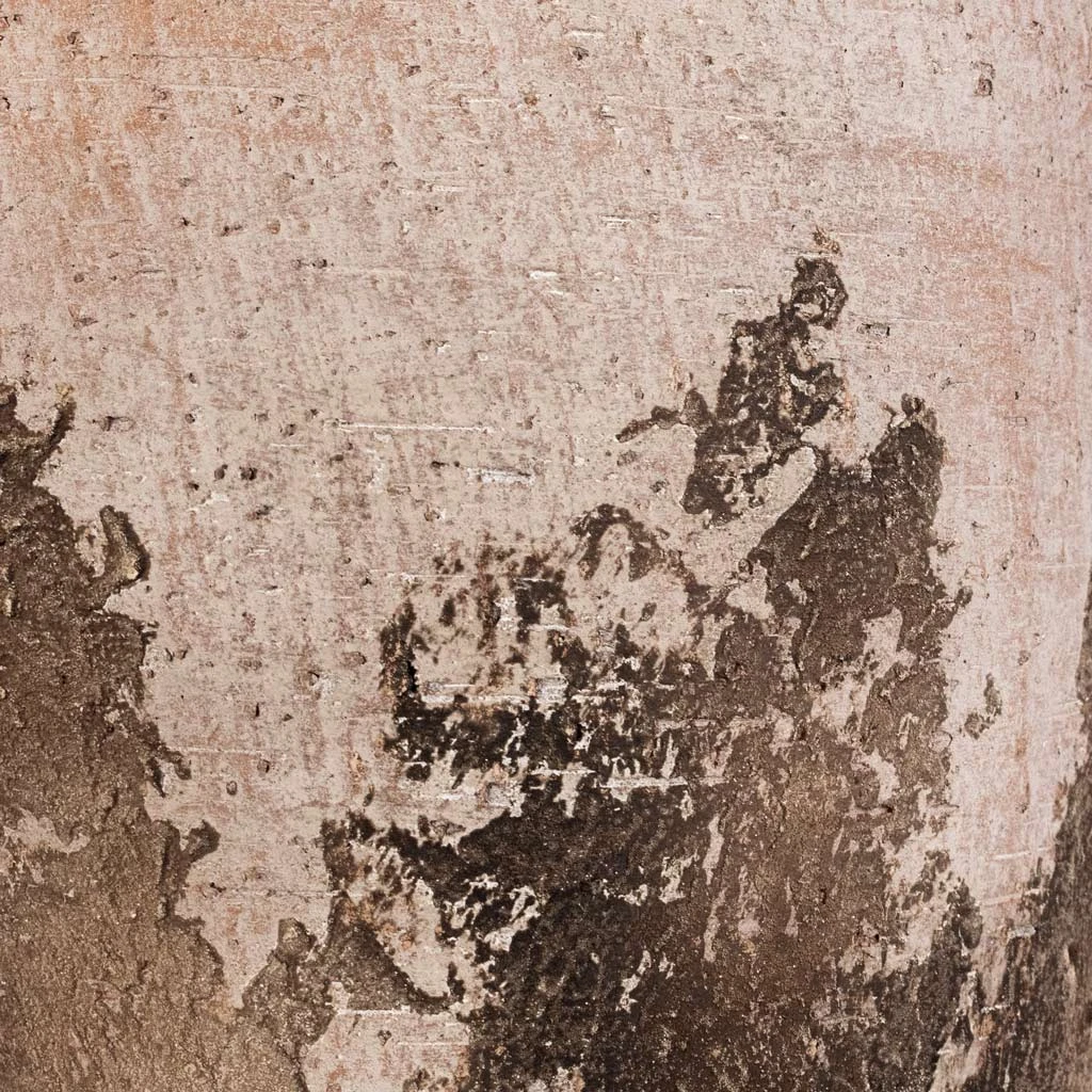 Albero Plant Pot - Cement 8 Albero Plant Pot - Cement - Image 6