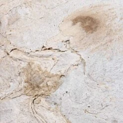 Algar Couple Planter - White 18 Algar Couple Planter - White -Plant Promotion Store Algar Balloon Planter White SWATCH 2 1