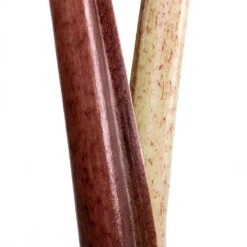 Alocasia Yucatan Princess - Elephant Ear 21 Alocasia Yucatan Princess - Elephant Ear -Plant Promotion Store Alocasia Yucatan Princess Elephant Ear Close Up 002