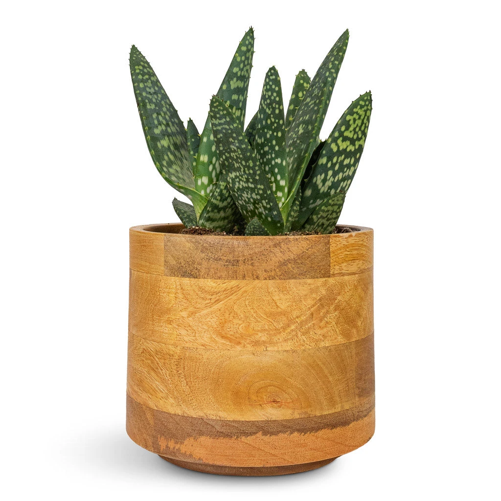 Helle Plant Pot - Natural 12 Helle Plant Pot - Natural - Image 10