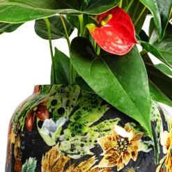 Lammie Planter - Berry Blue 23 Lammie Planter - Berry Blue -Plant Promotion Store Anthurium Flamingo Flower Royal Red Lammie Planter Berry Blue DETAIL 1