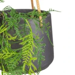 Patt Hanging Plant Pot - Black Washed -Plant Promotion Store Asparagus plumosos Lace Fern Hanging Bush Artificial 80cm 6 stems Patt Hanging Pot Black Washed 20x17cm 2