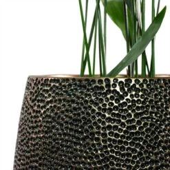 Opus Hit Darcy Planter - Gold 35 Opus Hit Darcy Planter - Gold -Plant Promotion Store Aspidistra Cast Iron Plant Opus Hit Darcy Planter Gold Close Up