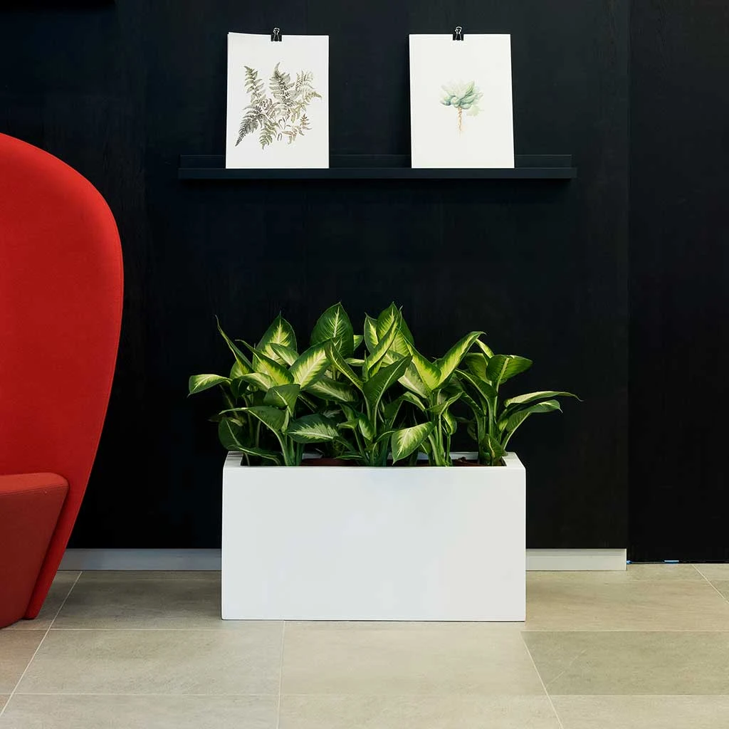 Balcony Essentials Planter - Matt White 4 Balcony Essentials Planter - Matt White - Image 2