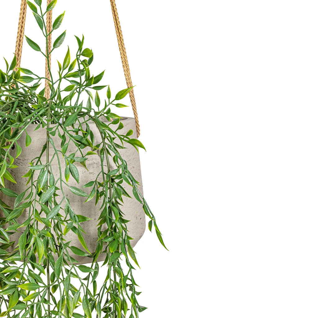 Patt Hanging Plant Pot - Grey Washed 14 Patt Hanging Plant Pot - Grey Washed - Image 12