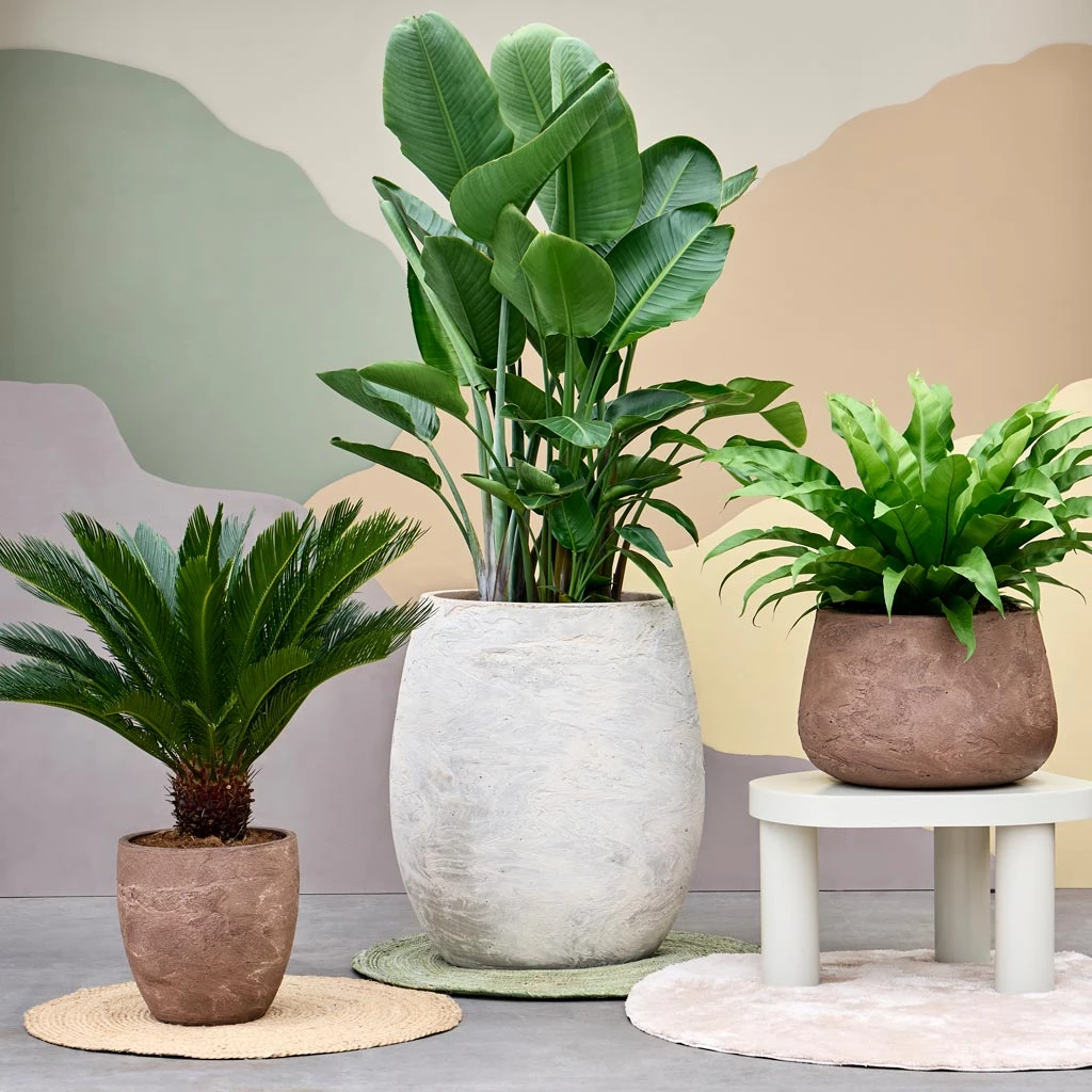 Algar Balloon Planter - White 6 Algar Balloon Planter - White - Image 4