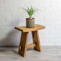 Beaucarnea - Pony Tail Palm - Orb 21 Beaucarnea - Pony Tail Palm - Orb -Plant Promotion Store Beaucarnea Pony Tail Palm Orb liam grey plant pot natural 75c4d917 b2bf 49b7 be25 2fc18a3f2ba9