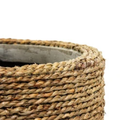 Ben Plant Pot - Straw Grass 23 Ben Plant Pot - Straw Grass -Plant Promotion Store Ben Plant Pot Straw Grass DETAILS 4