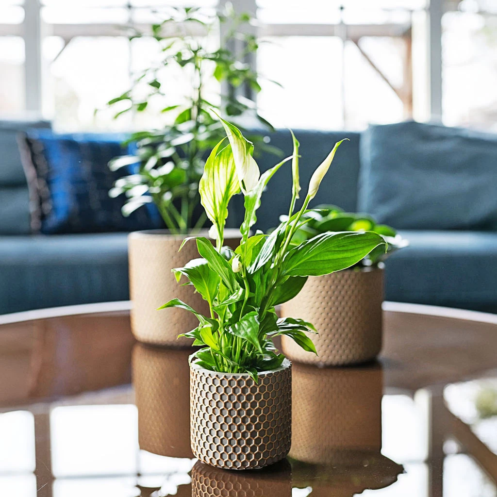 Bernt Plant Pot - Shiny Gold 10 Bernt Plant Pot - Shiny Gold - Image 8