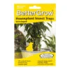 BetterGrow Houseplant Insect Traps 1 BetterGrow Houseplant Insect Traps -Plant Promotion Store BetterGrow Houseplant Insect Traps