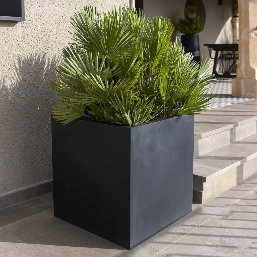 Block Natural Planter - Black 4 Block Natural Planter - Black - Image 2