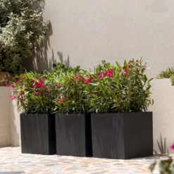 Block Natural Planter - Black 17 Block Natural Planter - Black -Plant Promotion Store BlockNaturalPlanter Black 2