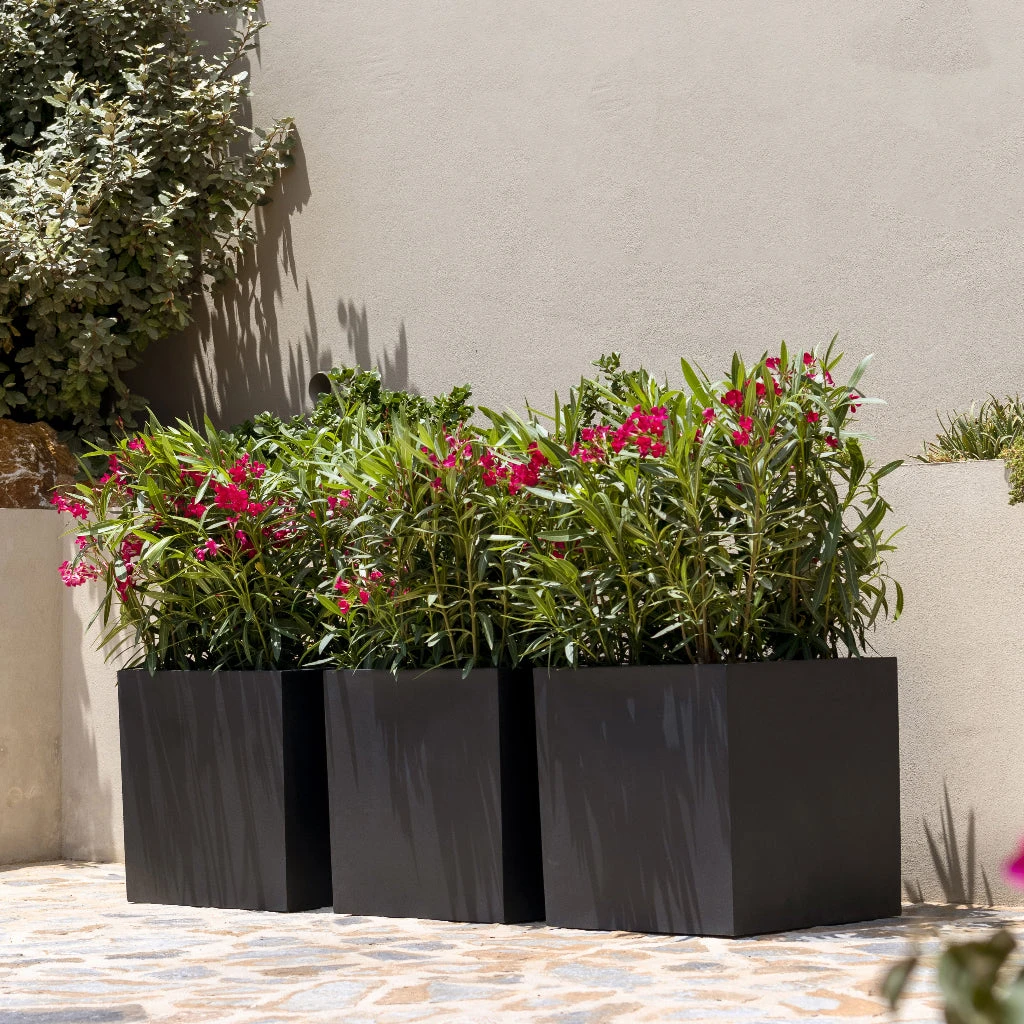 Block Natural Planter - Black 9 Block Natural Planter - Black - Image 7