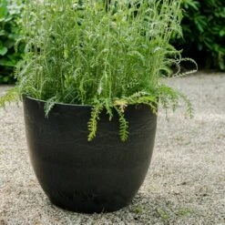 Bola Artstone Plant Pot - Black -Plant Promotion Store Bola Artstone Plant Pot Black 3
