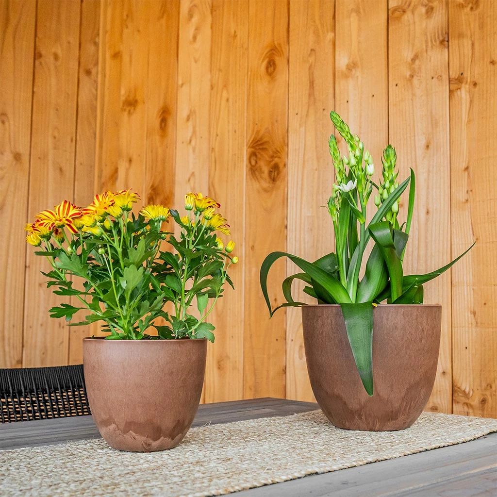 Bola Artstone Plant Pot - Oak 12 Bola Artstone Plant Pot - Oak - Image 10