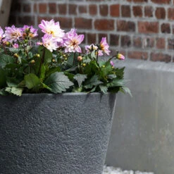 Bucket Granite Planter - Midnight Black 8 Bucket Granite Planter - Midnight Black -Plant Promotion Store Bucket Granite Planter Midnight Black Lifestyle 2