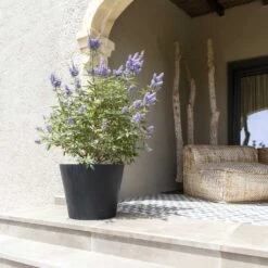 Bucket Natural Planter - Black -Plant Promotion Store Bucket Natural Planter Black 3