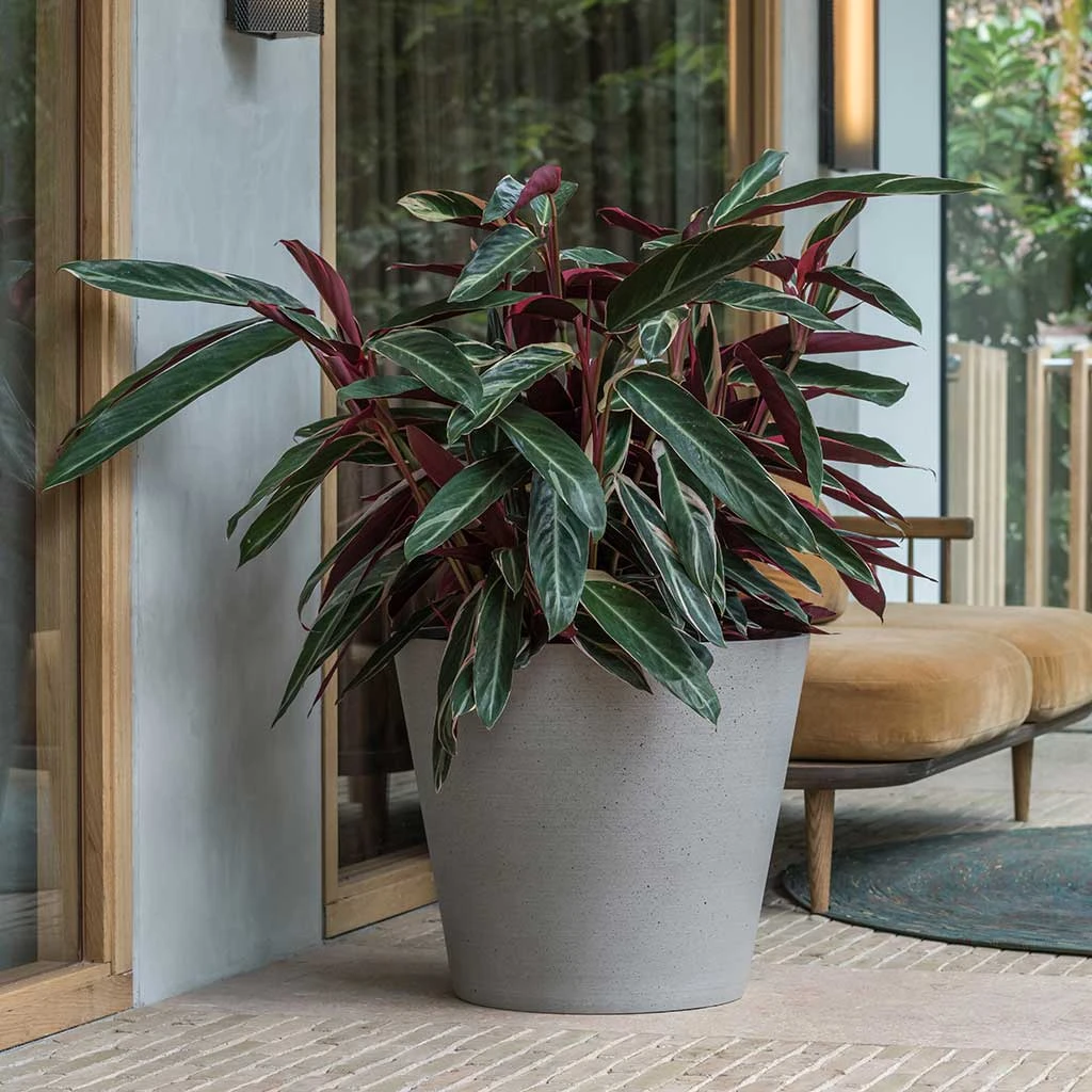 Bucket Refined Planter - Clouded Grey 4 Bucket Refined Planter - Clouded Grey - Image 2