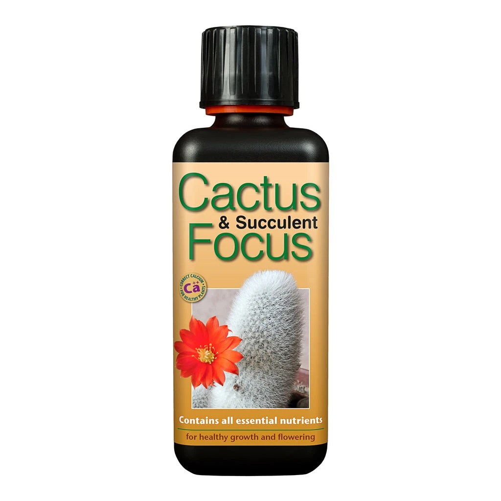 Cactus & Succulent Focus - Plant Nutrition 4 Cactus & Succulent Focus - Plant Nutrition - Image 2