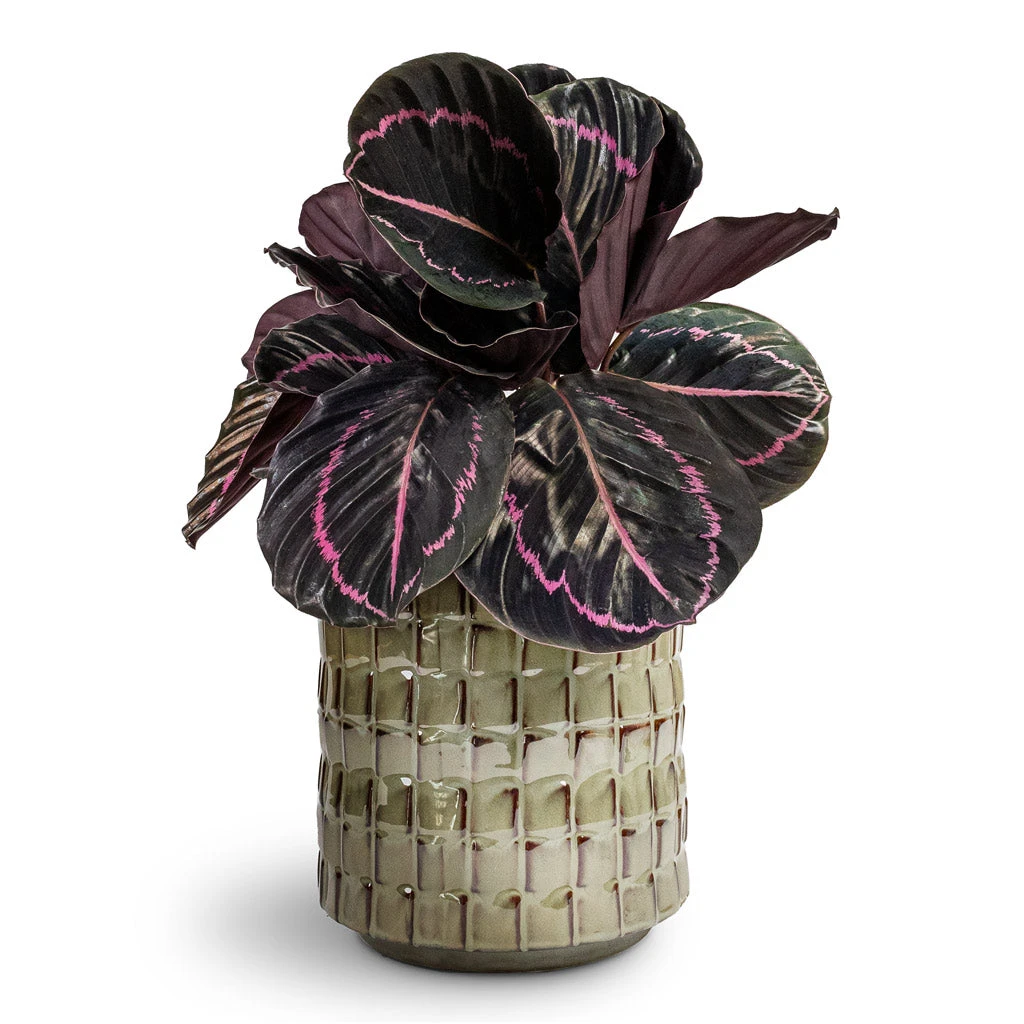 Stian Plant Pot - Moss Green 11 Stian Plant Pot - Moss Green - Image 9