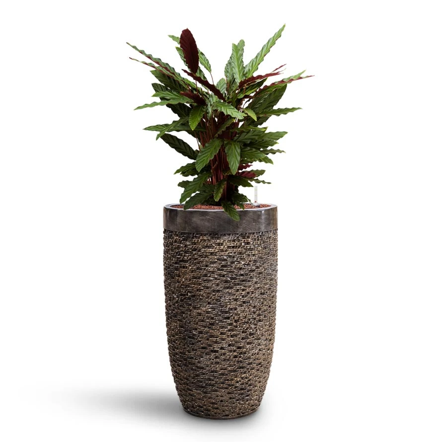 Luxe Lite Layer Partner Planter - Bronze 9 Luxe Lite Layer Partner Planter - Bronze - Image 7