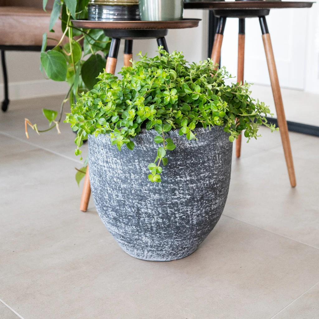 Cas Plant Pot - Anthracite 16 Cas Plant Pot - Anthracite - Image 14