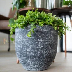 Cas Plant Pot - Anthracite 26 Cas Plant Pot - Anthracite -Plant Promotion Store CasPlantPot Anthracite 4