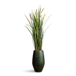 Noor Plant Vase - Velvet Green -Plant Promotion Store Cattails Grass Artificial 100cm 8 stems Noor Vase Velvet Green 23x36cm