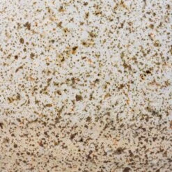 Celeste Plant Pot - Cream -Plant Promotion Store Celeste Pot Cream SWATCH