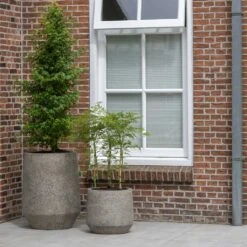 Harith Cement & Stone Plant Pot - Granite Grey -Plant Promotion Store Cement Stone Harith Plant Pot lifestyle