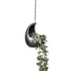 Ceropegia Woodii - String Of Hearts 2 Ceropegia Woodii - String Of Hearts -Plant Promotion Store Ceropegia woodii String of Hearts 14x30cm Gradient Hanging Cocoon Matt Grey 20x24cm 2