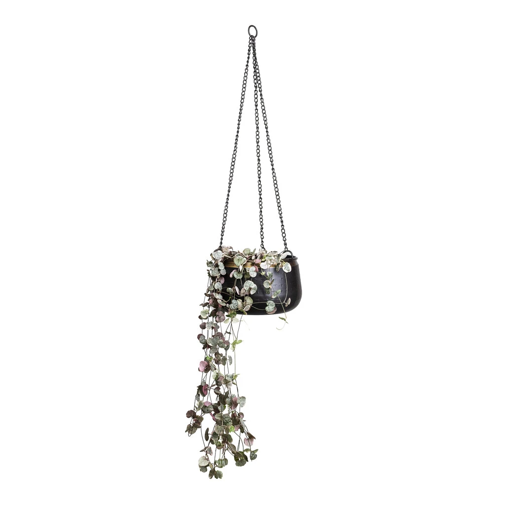 Sahara Hanging Plant Pot - Slate 11 Sahara Hanging Plant Pot - Slate - Image 9