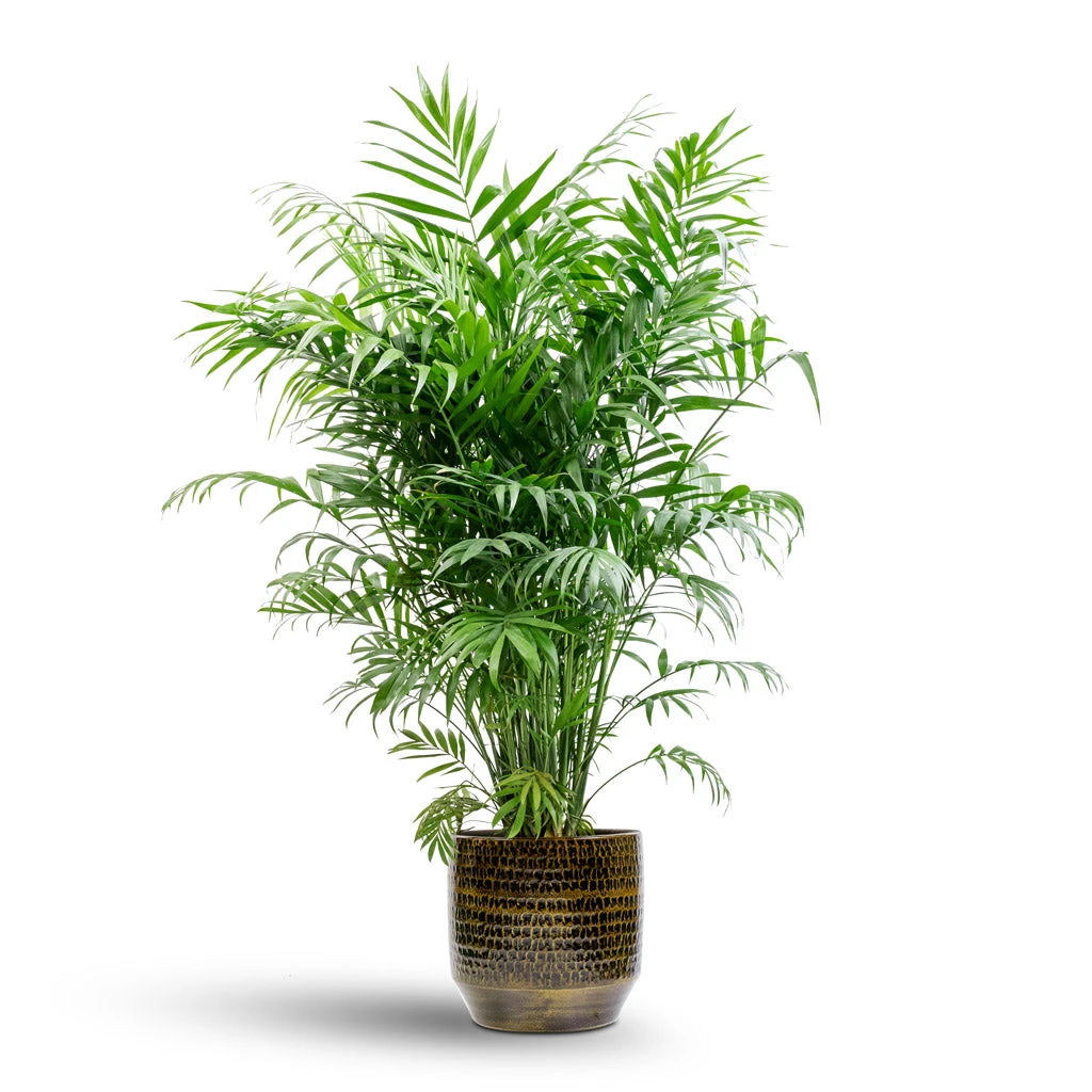 Sanna Plant Pot - Savanna 17 Sanna Plant Pot - Savanna - Image 15
