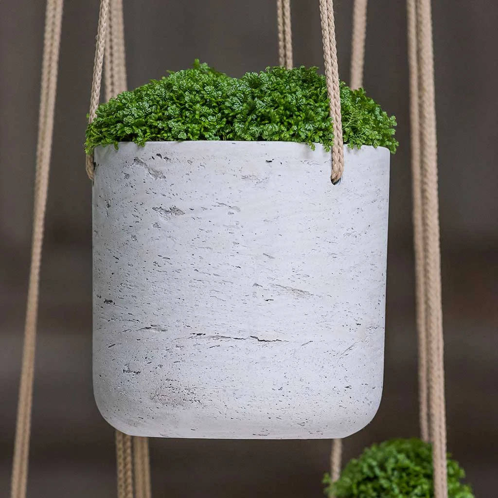 Charlie Hanging Plant Pot - Grey Washed 4 Charlie Hanging Plant Pot - Grey Washed - Image 2