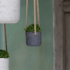 Charlie Hanging Plant Pot - Black Washed 13 Charlie Hanging Plant Pot - Black Washed -Plant Promotion Store Charlie Hanging Plant Pots Black Washed Houseplants