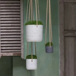 Charlie Hanging Plant Pot - Grey Washed 15 Charlie Hanging Plant Pot - Grey Washed -Plant Promotion Store Charlie Hanging Plant Pots Houseplants