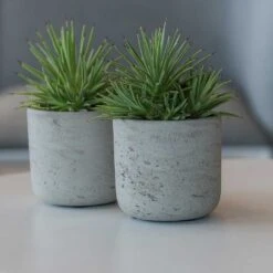Charlie Plant Pot - Grey Washed 30 Charlie Plant Pot - Grey Washed -Plant Promotion Store Charlie Plant Pot Grey Washed Small Houseplants