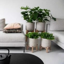 Charlie Plant Pot - Tall Stand - Grey Washed 12 Charlie Plant Pot - Tall Stand - Grey Washed -Plant Promotion Store Charlie Plant Pot Tall Stand Grey Washed Lifestyle 02