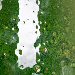 Charlotte Plant Pot - Green 27 Charlotte Plant Pot - Green -Plant Promotion Store Charlotte Green speckles 3