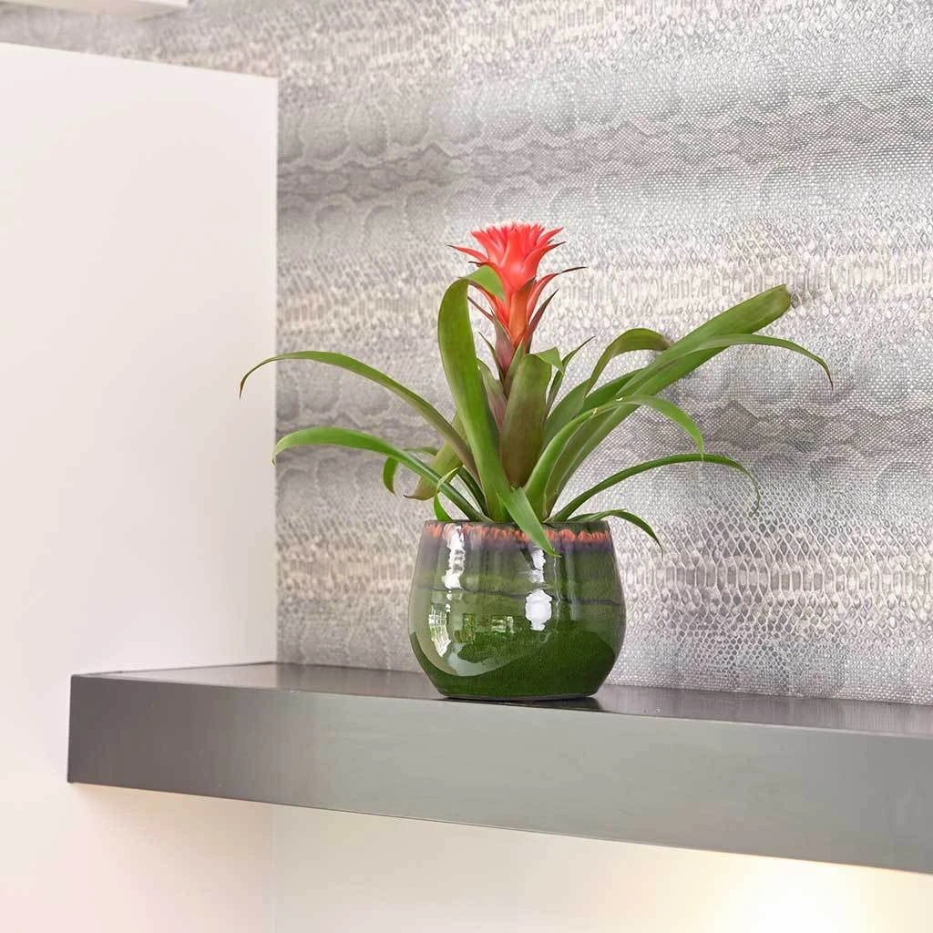 Charlotte Plant Pot - Green 4 Charlotte Plant Pot - Green - Image 2