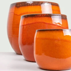 Charlotte Plant Pot - Orange -Plant Promotion Store Charlotte orange Group 5