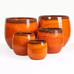 Charlotte Plant Pot - Orange -Plant Promotion Store Charlotte orange Group update