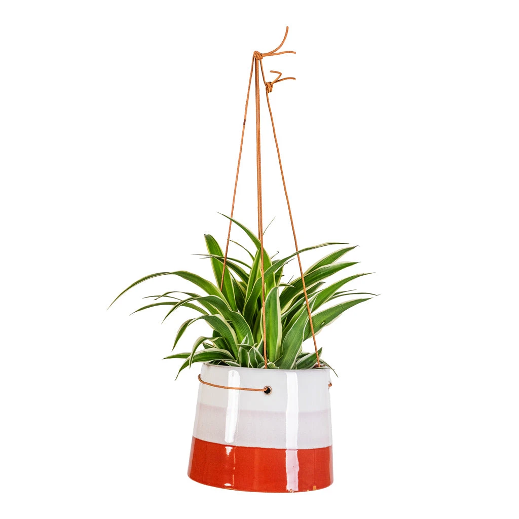 Striped Hanging Plant Pot - Terracotta Blush 5 Striped Hanging Plant Pot - Terracotta Blush - Image 3