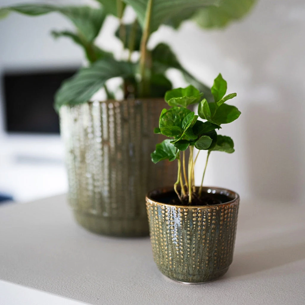 Cille Plant Pot - Forest 10 Cille Plant Pot - Forest - Image 8