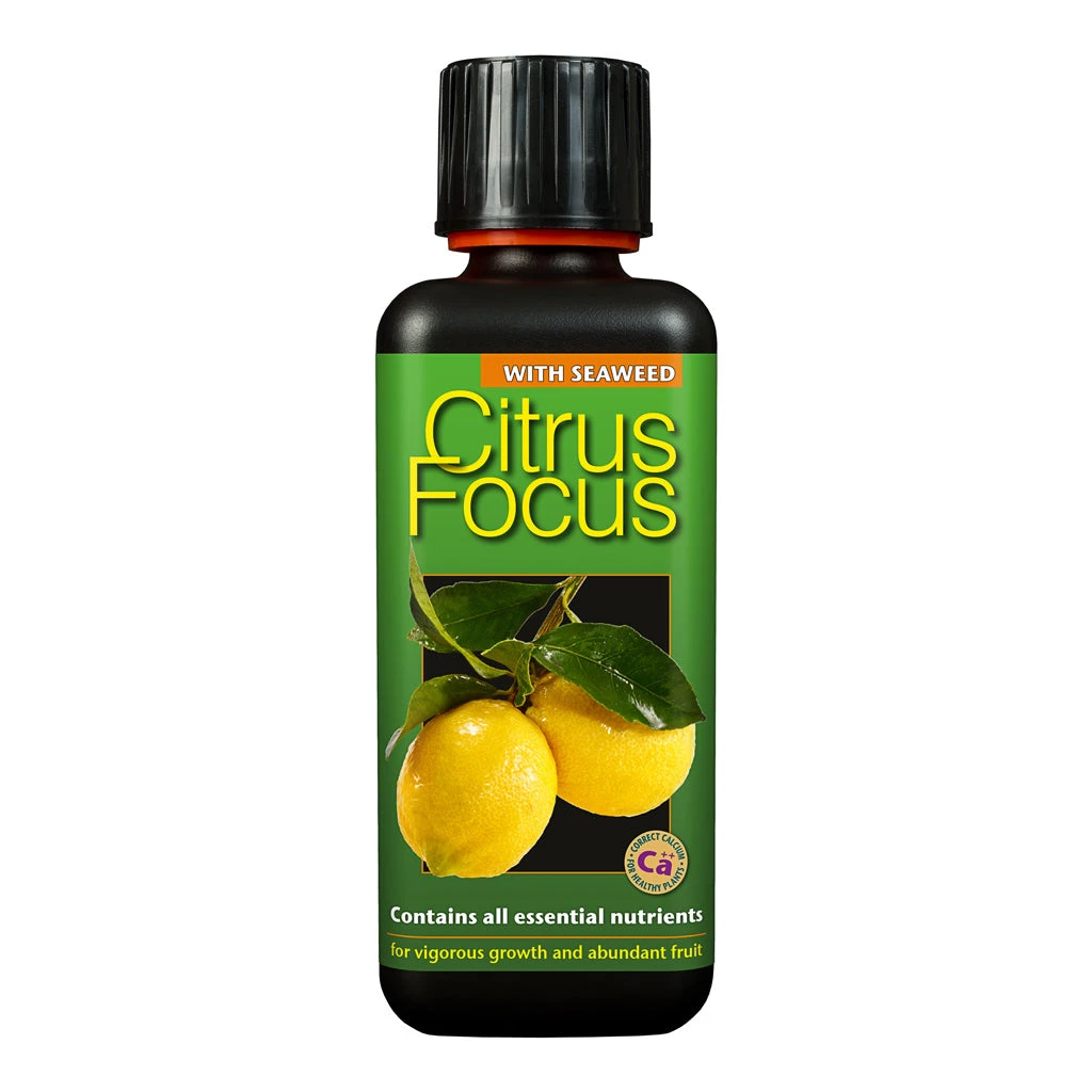Citrus Focus - Plant Nutrition 4 Citrus Focus - Plant Nutrition - Image 2