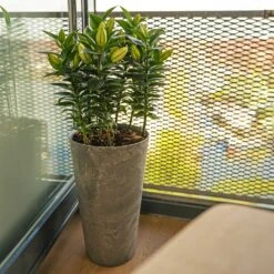 Claire Artstone Tall Planter - Grey 10 Claire Artstone Tall Planter - Grey -Plant Promotion Store Claire Artstone Tall Planter Grey 4