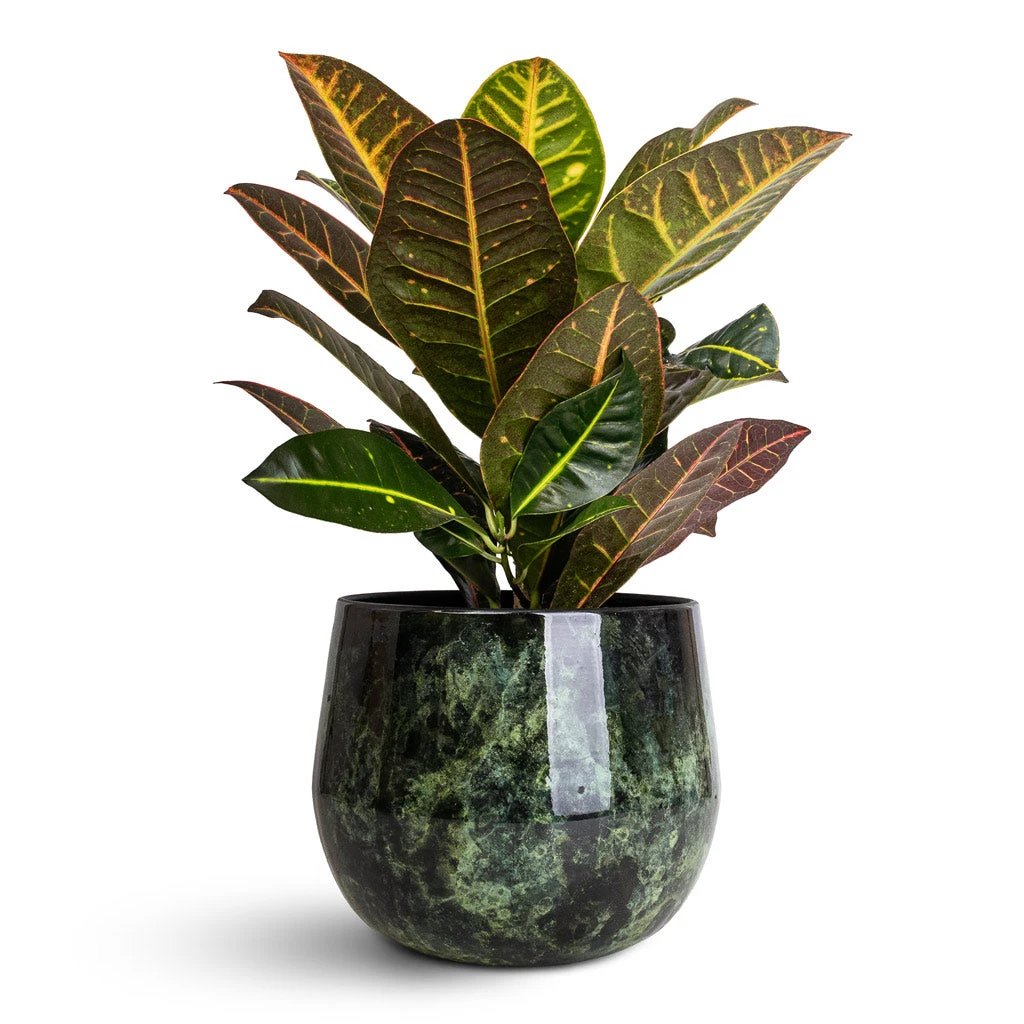 Emmie Metal Plant Pot - Mystic Green 7 Emmie Metal Plant Pot - Mystic Green - Image 5